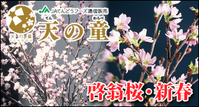 �[�����E�V�t�b�ʔ́b�V�̓��bJA�Ă�ǂ��t�[�Y�ʐM�̔�